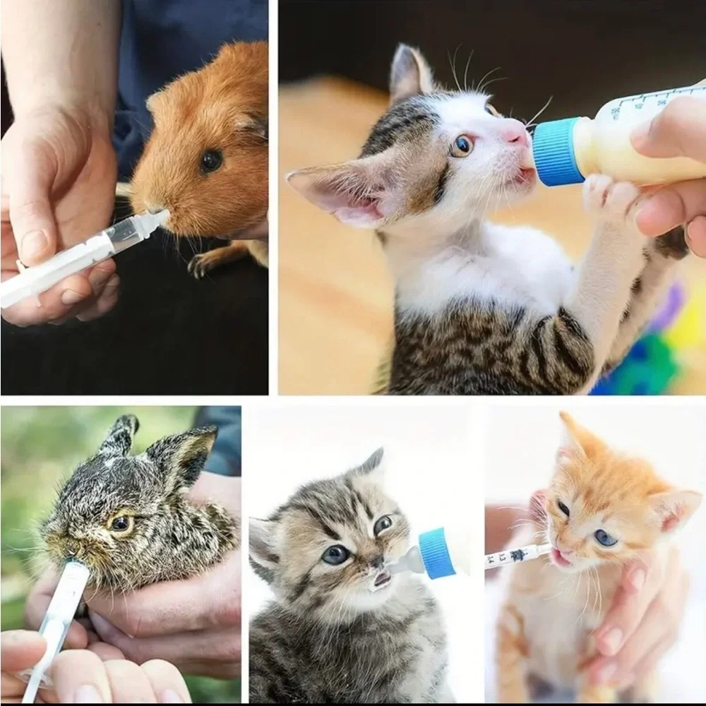 Bottle Nurture Feeding Kit for Small Baby Animals like Kittens & Squirrels